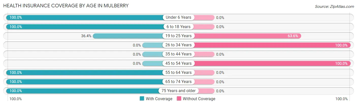 Health Insurance Coverage by Age in Mulberry