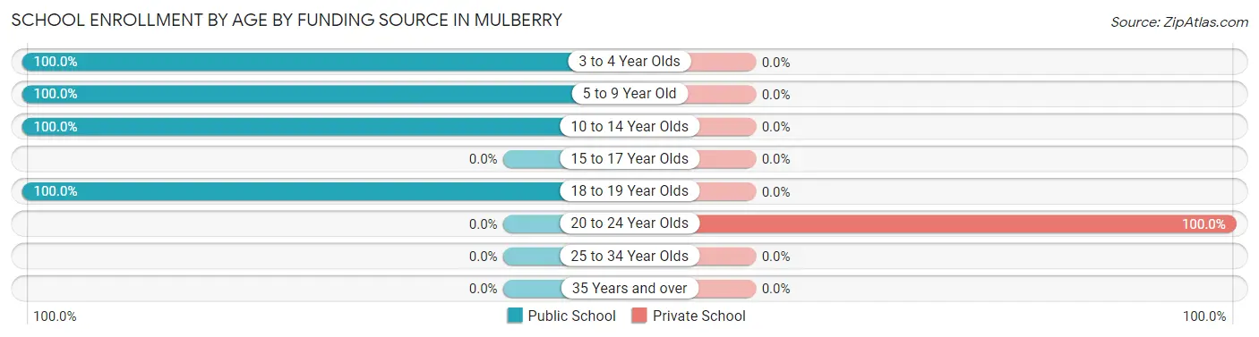 School Enrollment by Age by Funding Source in Mulberry