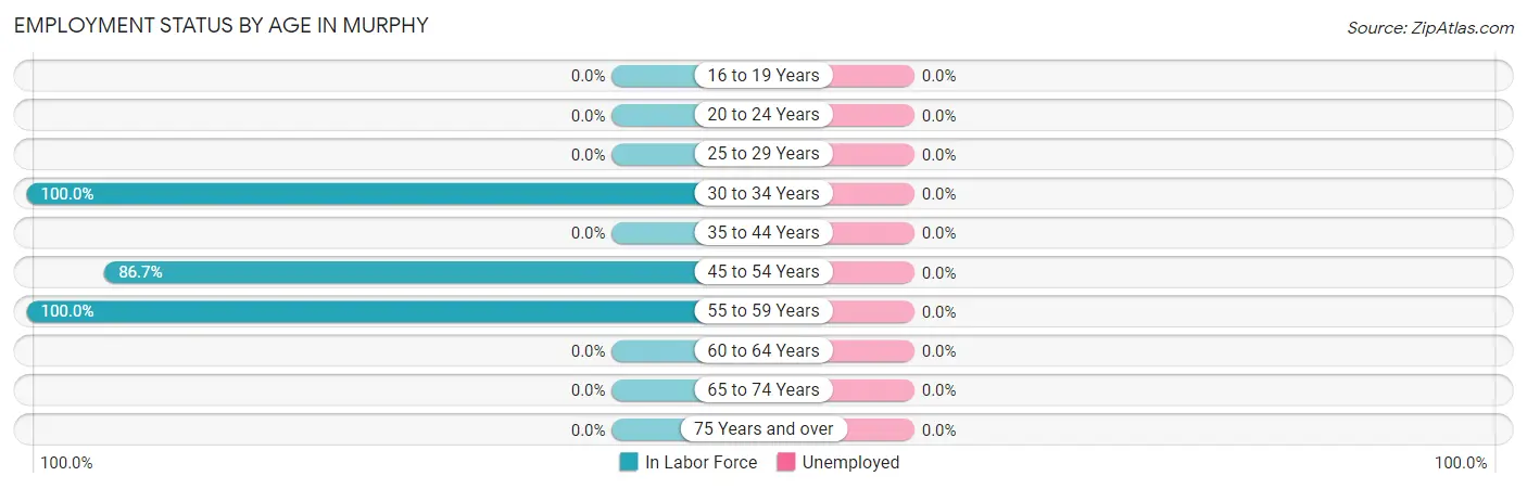 Employment Status by Age in Murphy