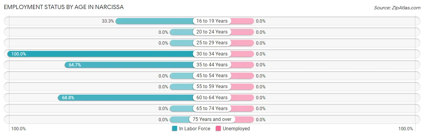 Employment Status by Age in Narcissa