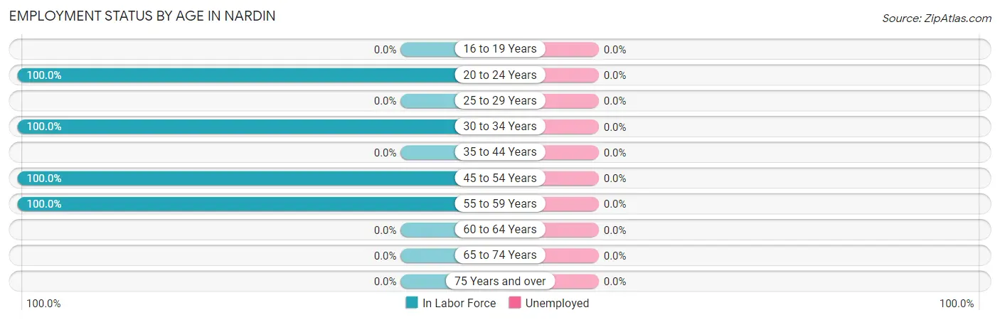 Employment Status by Age in Nardin