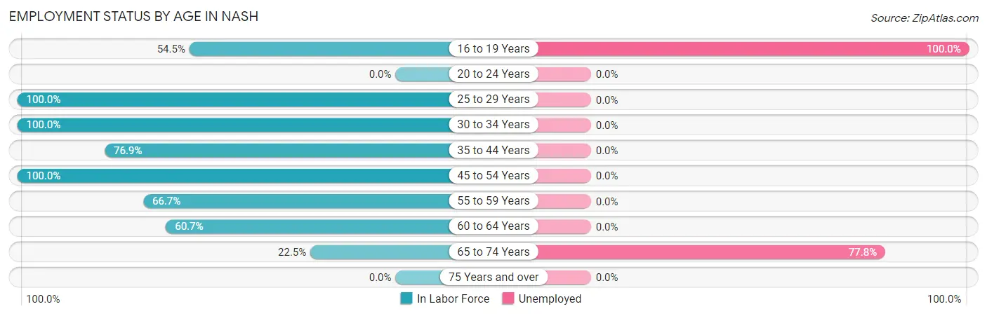 Employment Status by Age in Nash
