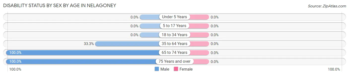 Disability Status by Sex by Age in Nelagoney
