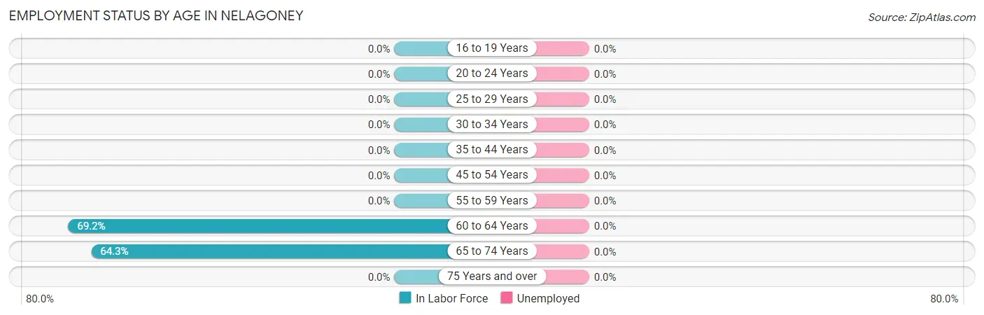 Employment Status by Age in Nelagoney