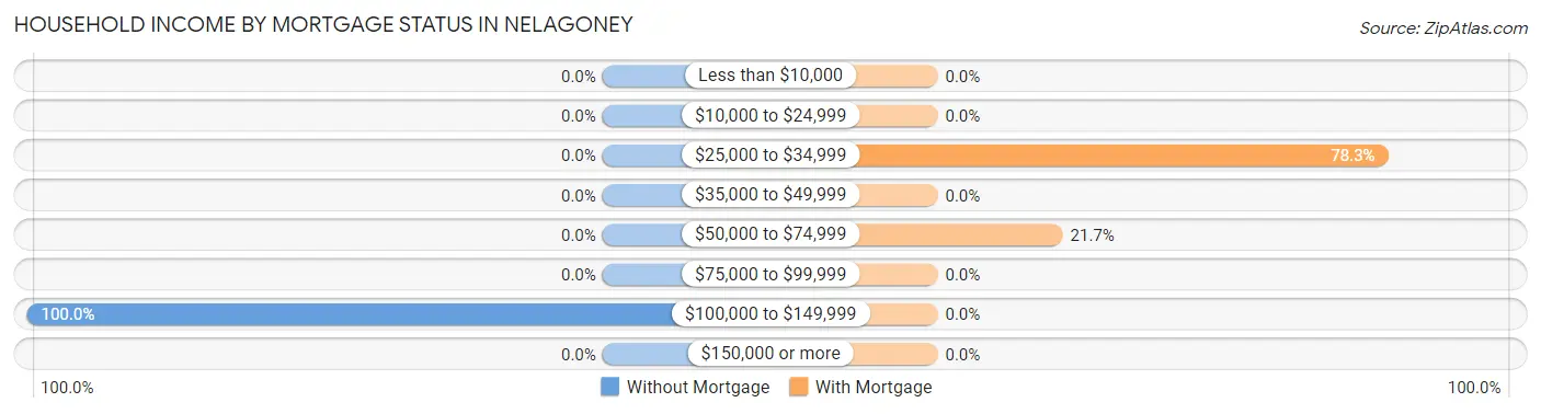 Household Income by Mortgage Status in Nelagoney