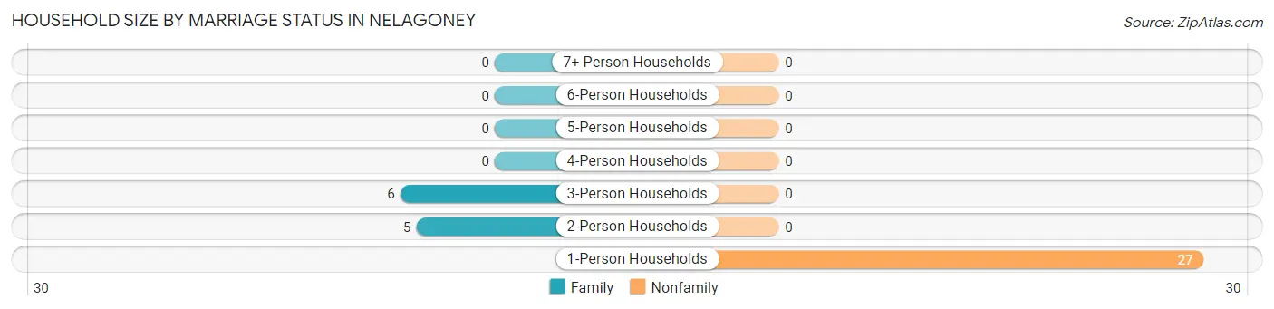 Household Size by Marriage Status in Nelagoney