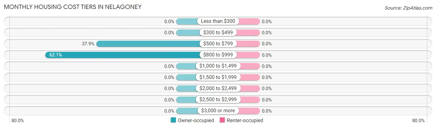 Monthly Housing Cost Tiers in Nelagoney