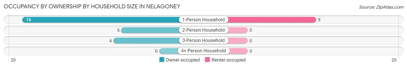 Occupancy by Ownership by Household Size in Nelagoney