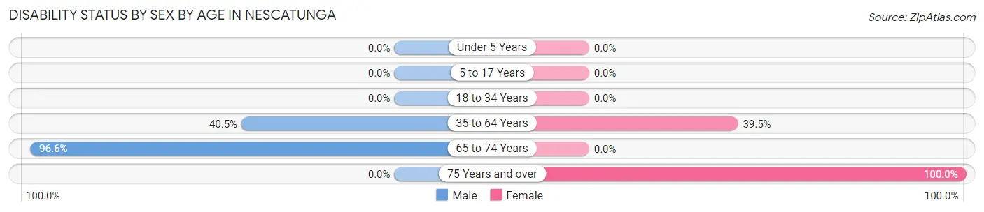 Disability Status by Sex by Age in Nescatunga