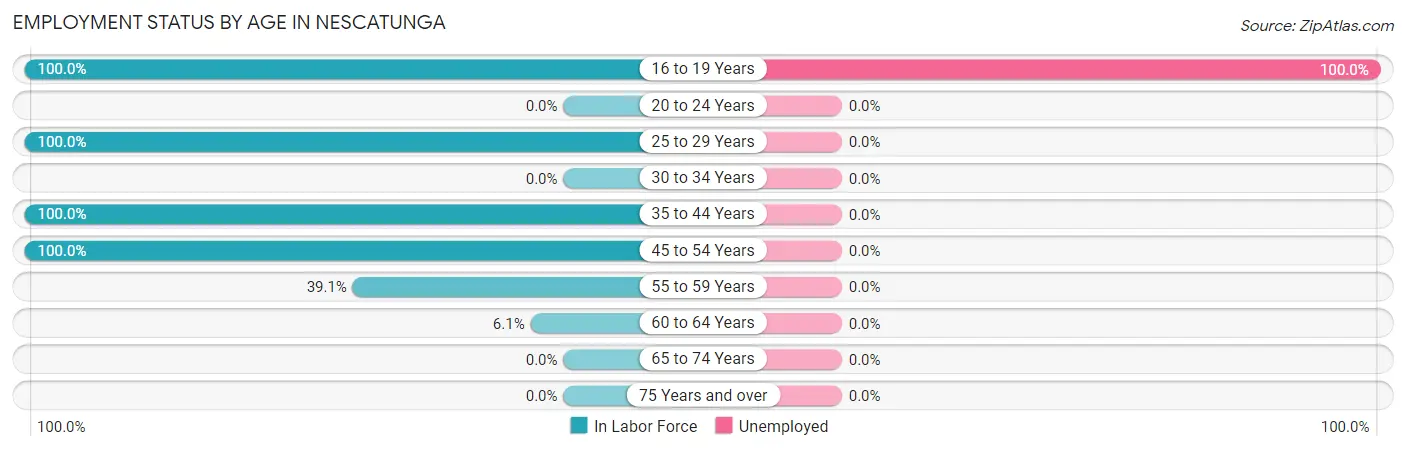 Employment Status by Age in Nescatunga
