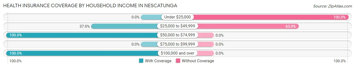 Health Insurance Coverage by Household Income in Nescatunga