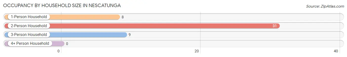 Occupancy by Household Size in Nescatunga
