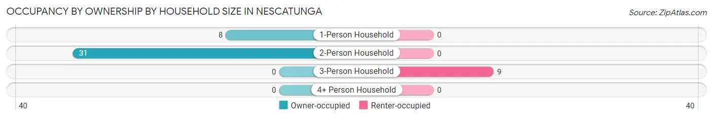 Occupancy by Ownership by Household Size in Nescatunga