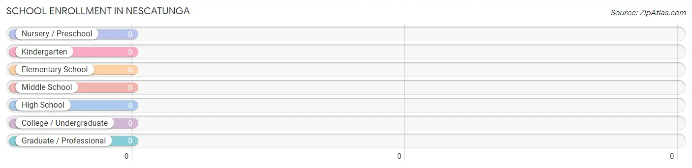 School Enrollment in Nescatunga