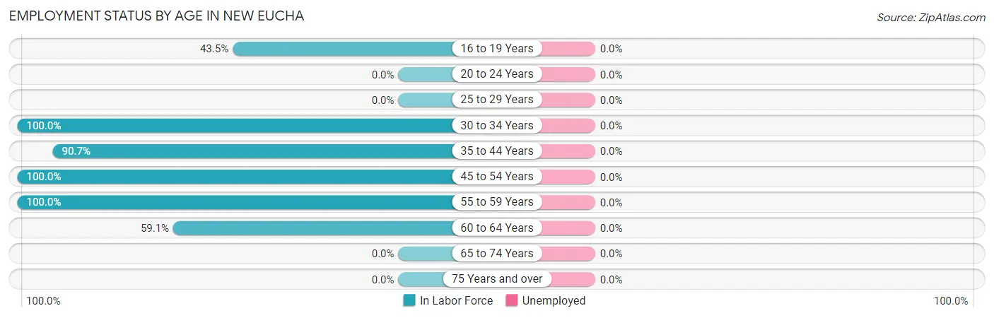 Employment Status by Age in New Eucha