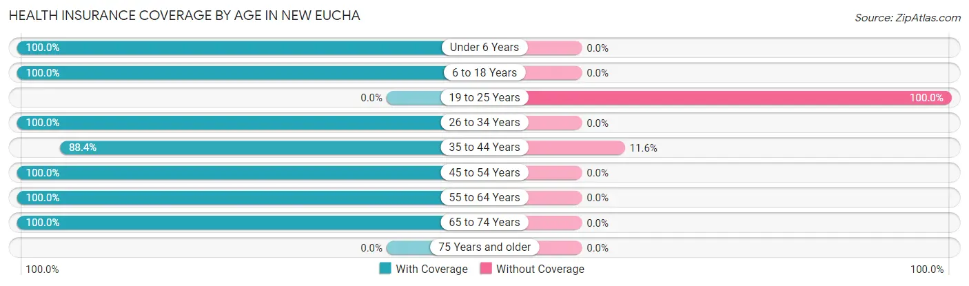 Health Insurance Coverage by Age in New Eucha