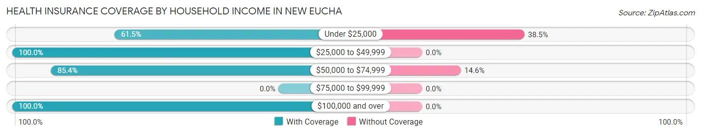 Health Insurance Coverage by Household Income in New Eucha
