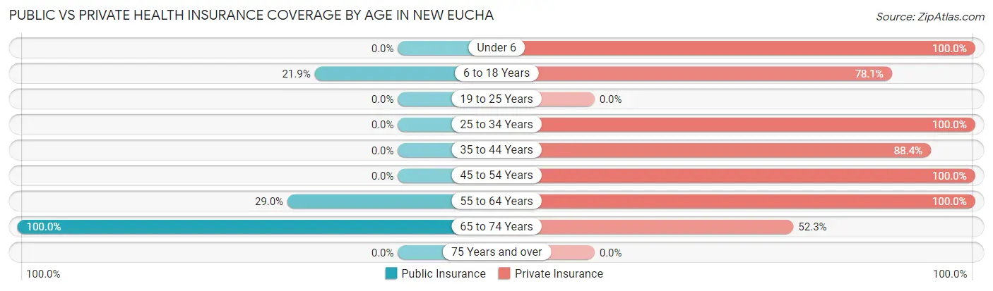 Public vs Private Health Insurance Coverage by Age in New Eucha