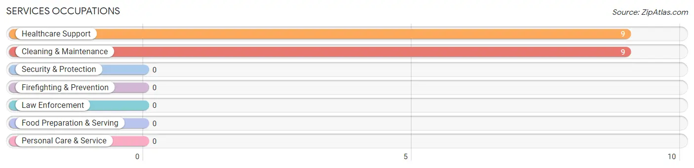 Services Occupations in New Eucha