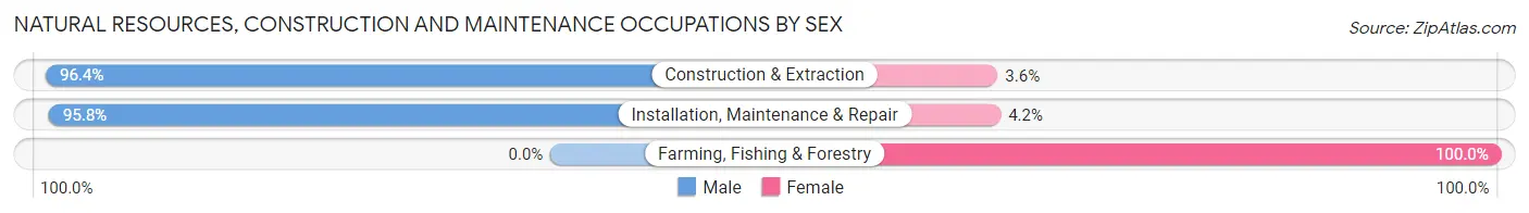 Natural Resources, Construction and Maintenance Occupations by Sex in Nicoma Park
