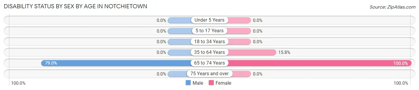 Disability Status by Sex by Age in Notchietown