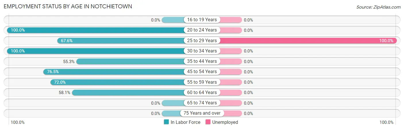 Employment Status by Age in Notchietown