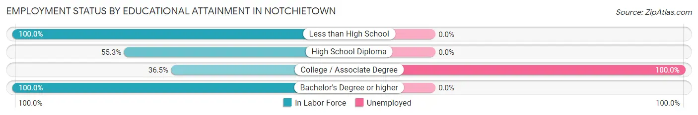 Employment Status by Educational Attainment in Notchietown