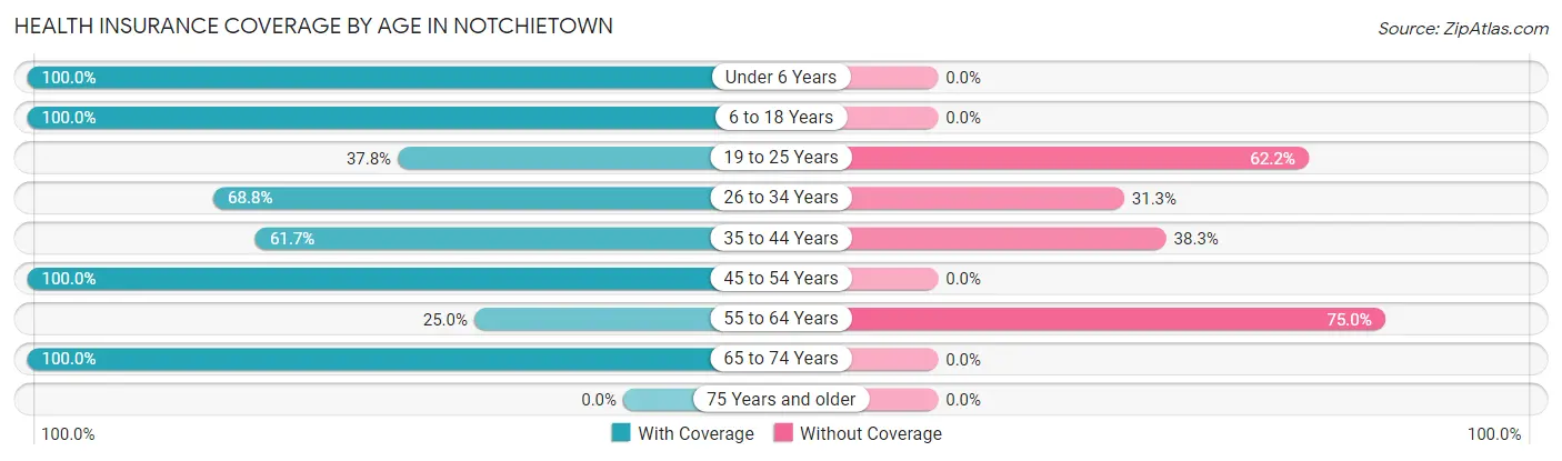 Health Insurance Coverage by Age in Notchietown