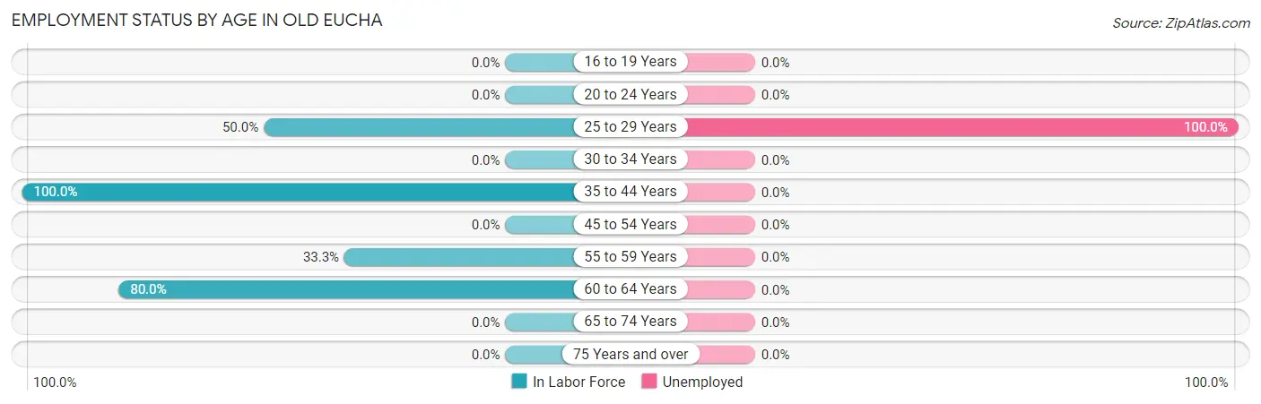 Employment Status by Age in Old Eucha