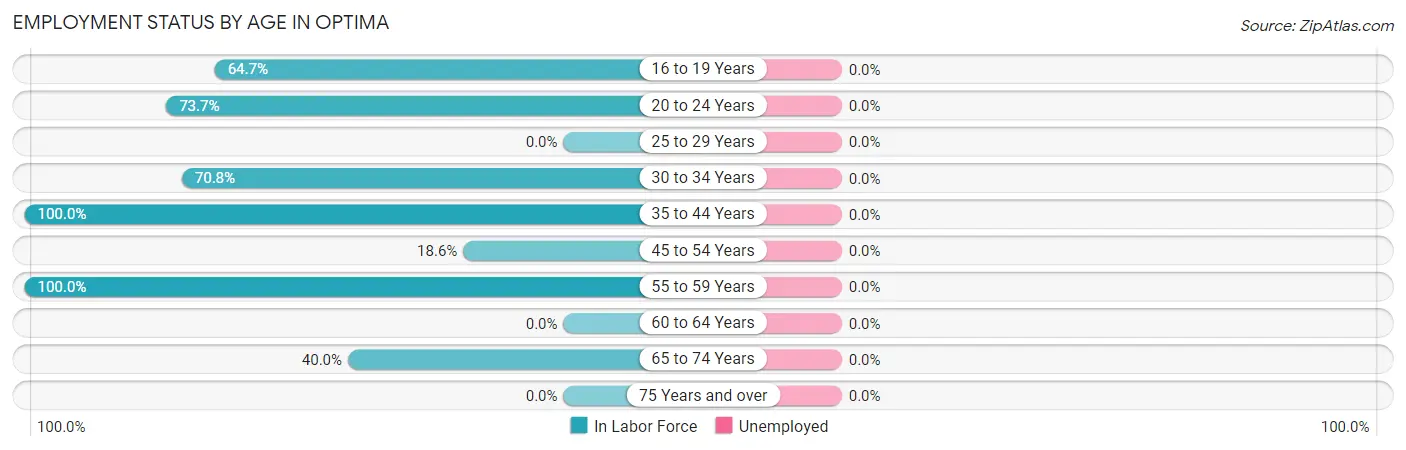 Employment Status by Age in Optima