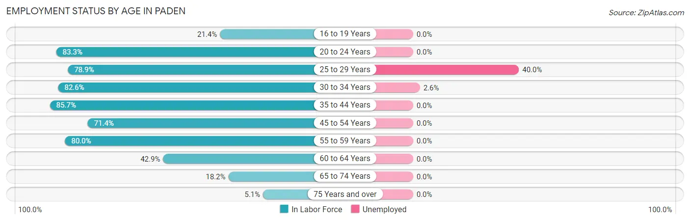 Employment Status by Age in Paden