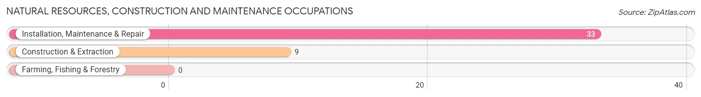 Natural Resources, Construction and Maintenance Occupations in Panama