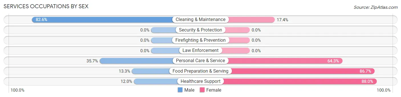 Services Occupations by Sex in Panama