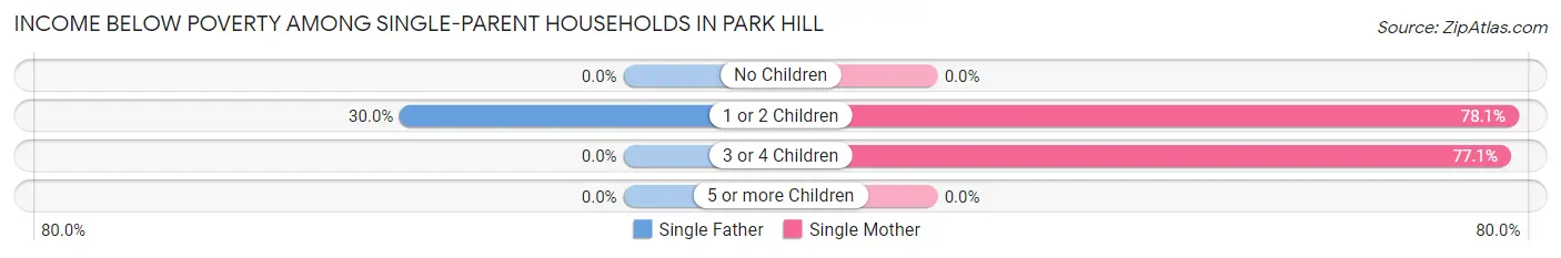 Income Below Poverty Among Single-Parent Households in Park Hill