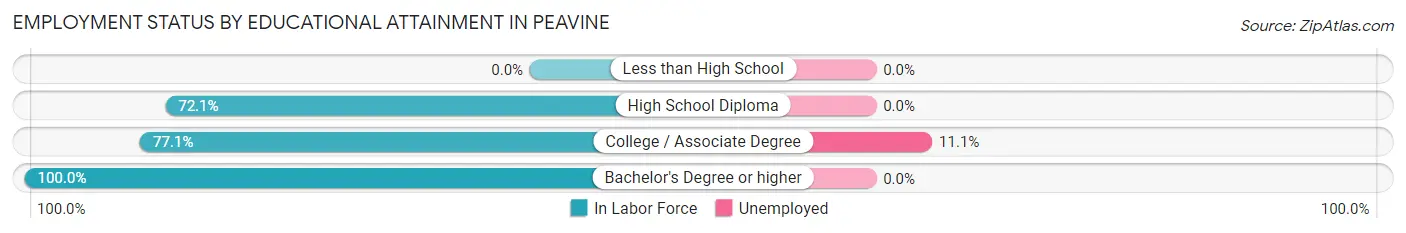 Employment Status by Educational Attainment in Peavine