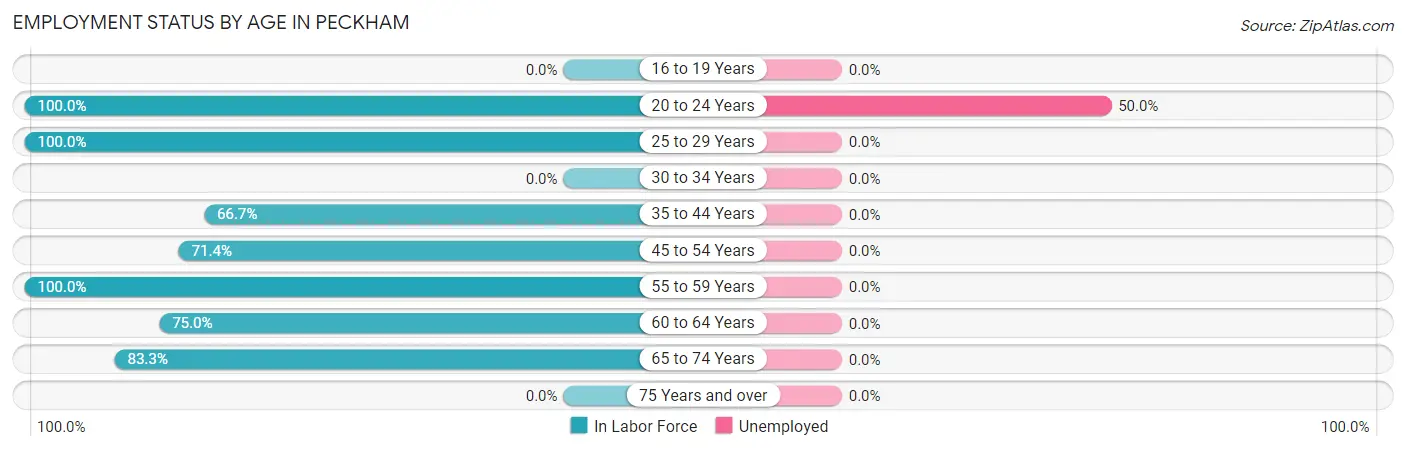 Employment Status by Age in Peckham