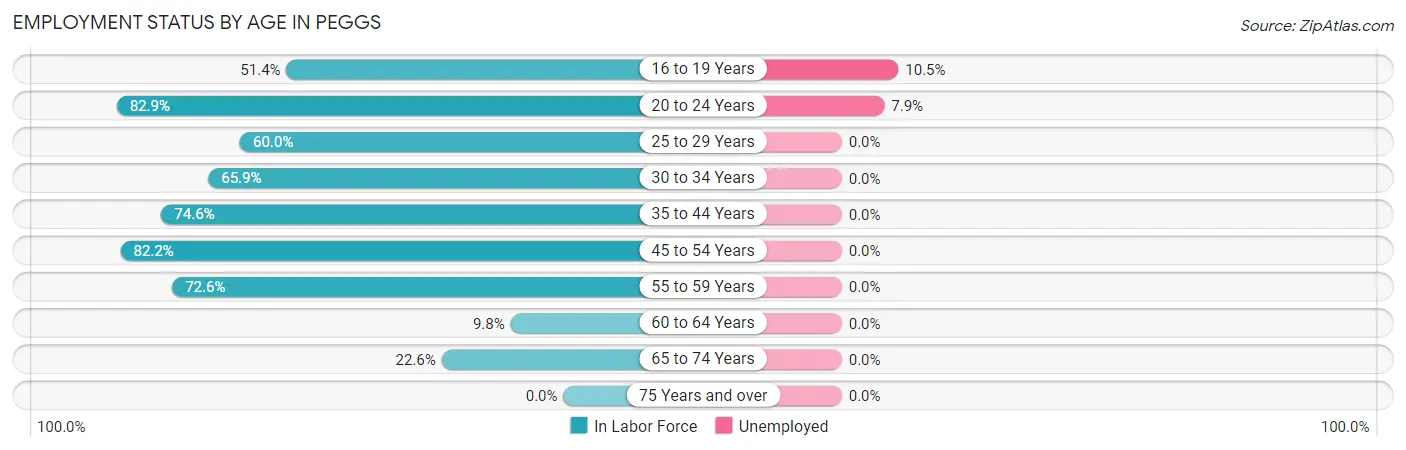 Employment Status by Age in Peggs