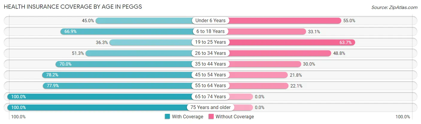 Health Insurance Coverage by Age in Peggs