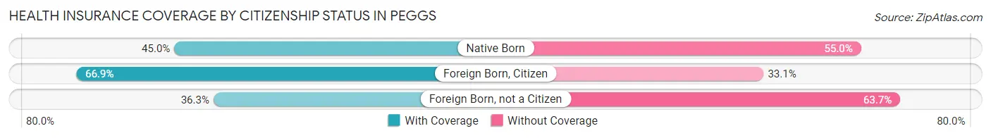 Health Insurance Coverage by Citizenship Status in Peggs