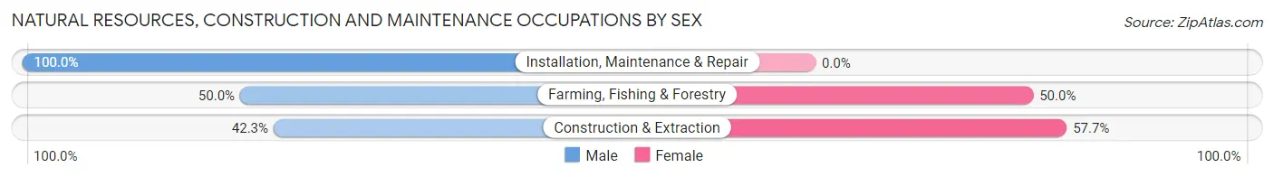 Natural Resources, Construction and Maintenance Occupations by Sex in Peggs