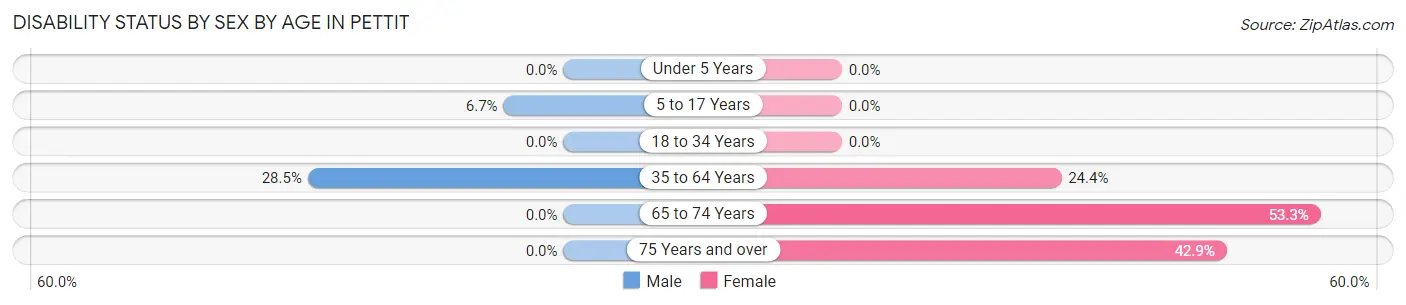 Disability Status by Sex by Age in Pettit