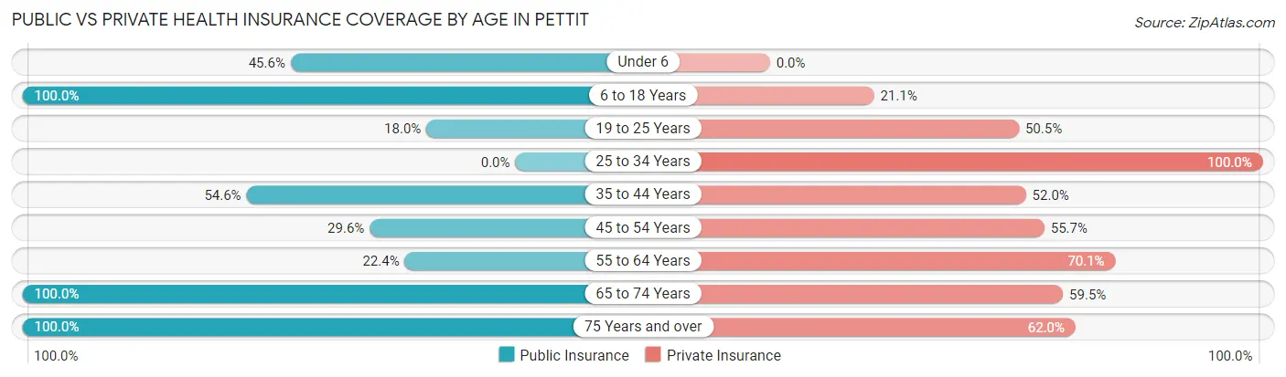 Public vs Private Health Insurance Coverage by Age in Pettit