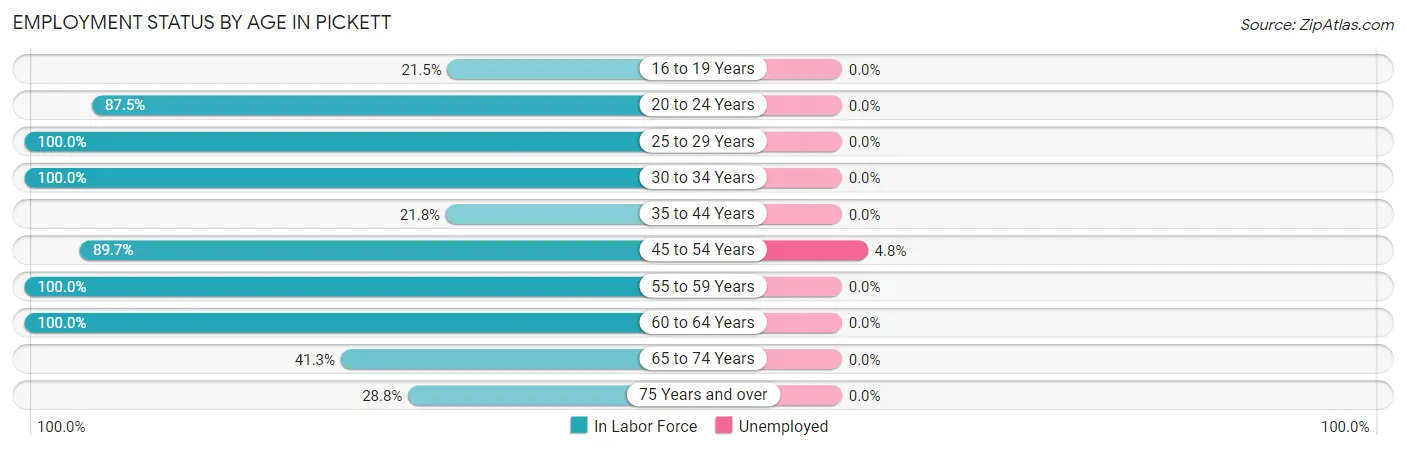 Employment Status by Age in Pickett