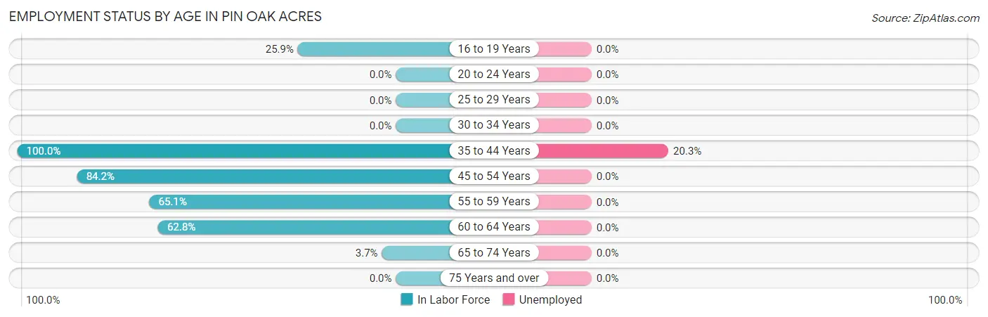 Employment Status by Age in Pin Oak Acres