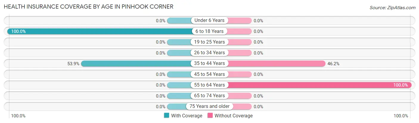 Health Insurance Coverage by Age in Pinhook Corner