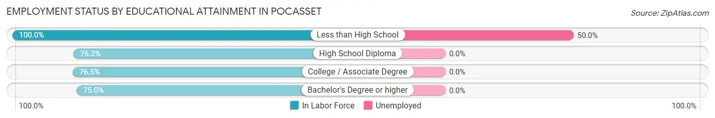 Employment Status by Educational Attainment in Pocasset