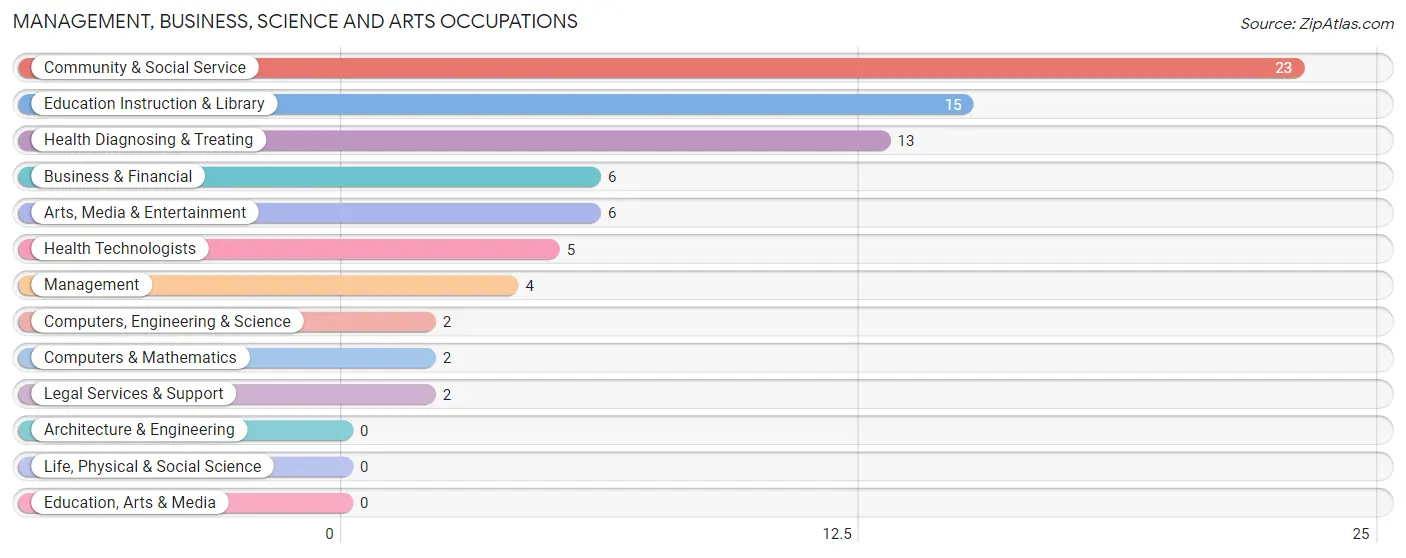 Management, Business, Science and Arts Occupations in Porter