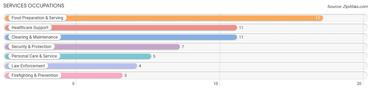 Services Occupations in Porter