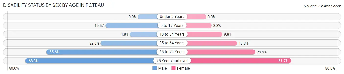 Disability Status by Sex by Age in Poteau