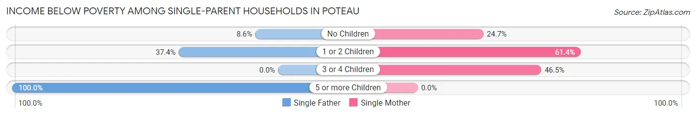 Income Below Poverty Among Single-Parent Households in Poteau